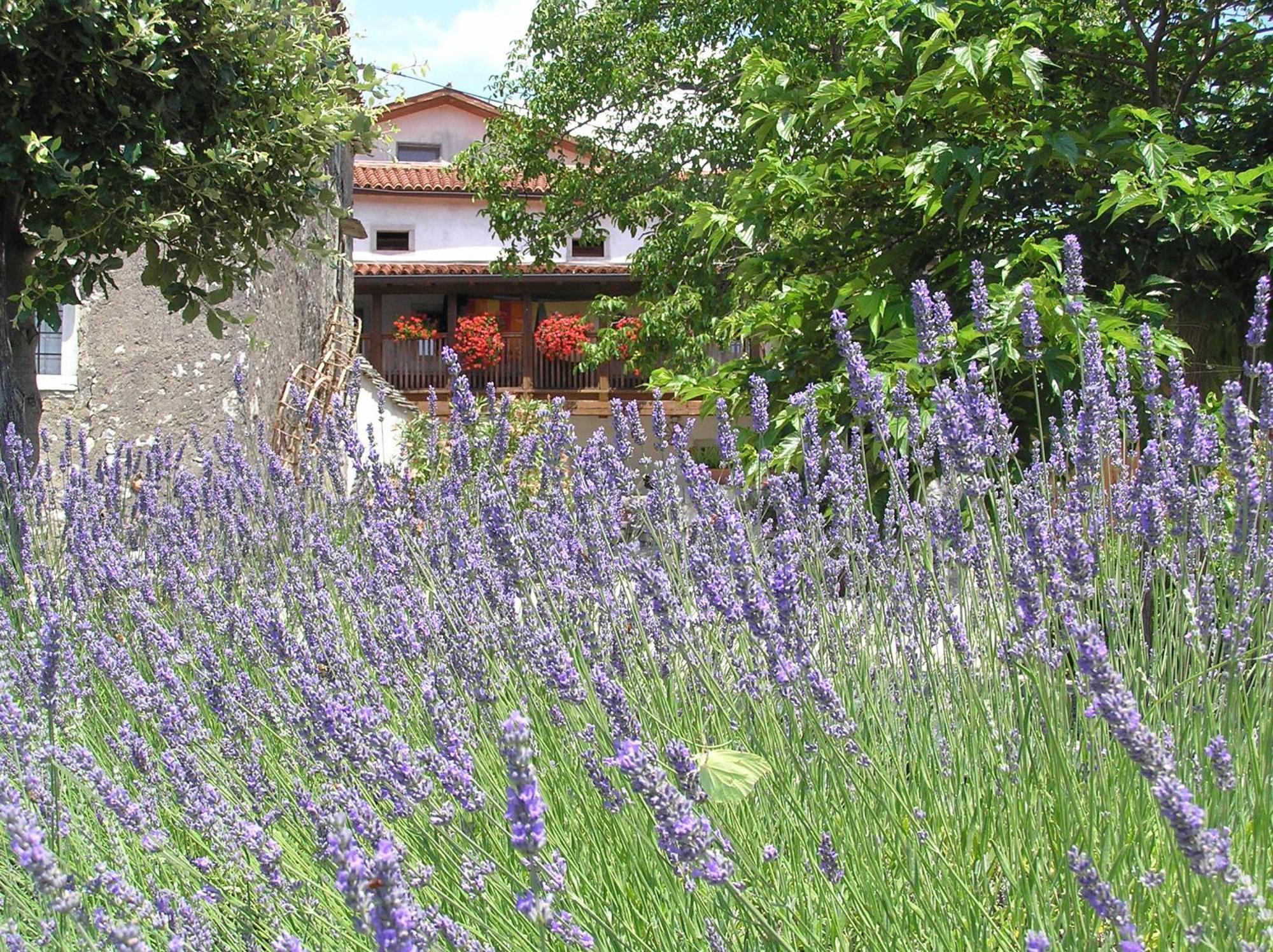 Pliskovica Youth Hostel Zewnętrze zdjęcie