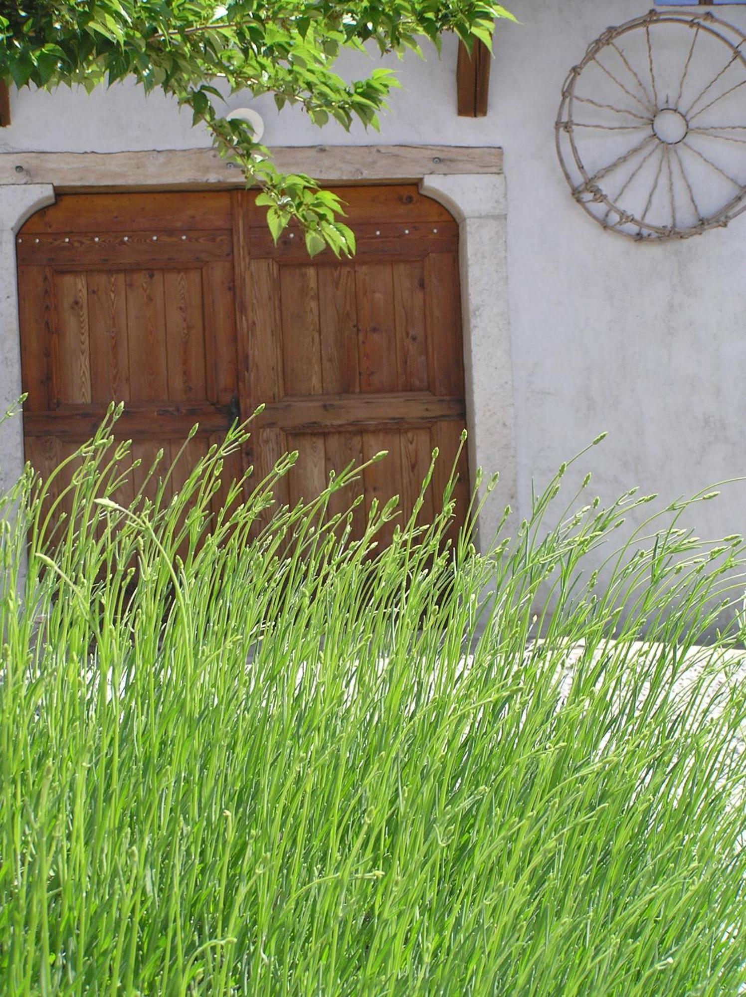 Pliskovica Youth Hostel Zewnętrze zdjęcie